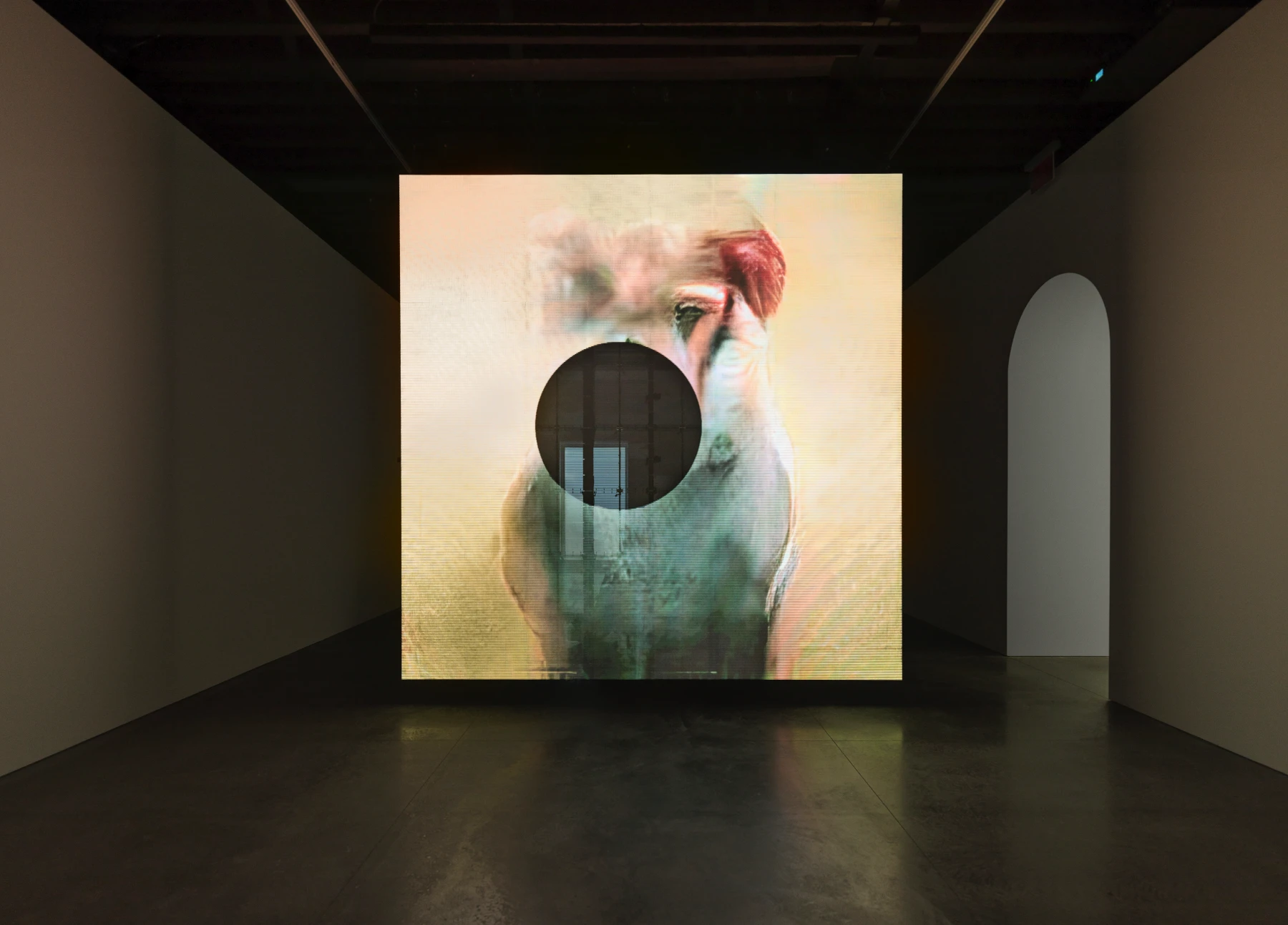Image for Pierre Huyghe: In Imaginal, at Marian Goodman Gallery
