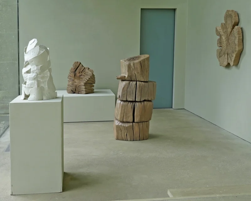 Image for Nao Matsunaga: A Year’s Thought, at New Art Centre