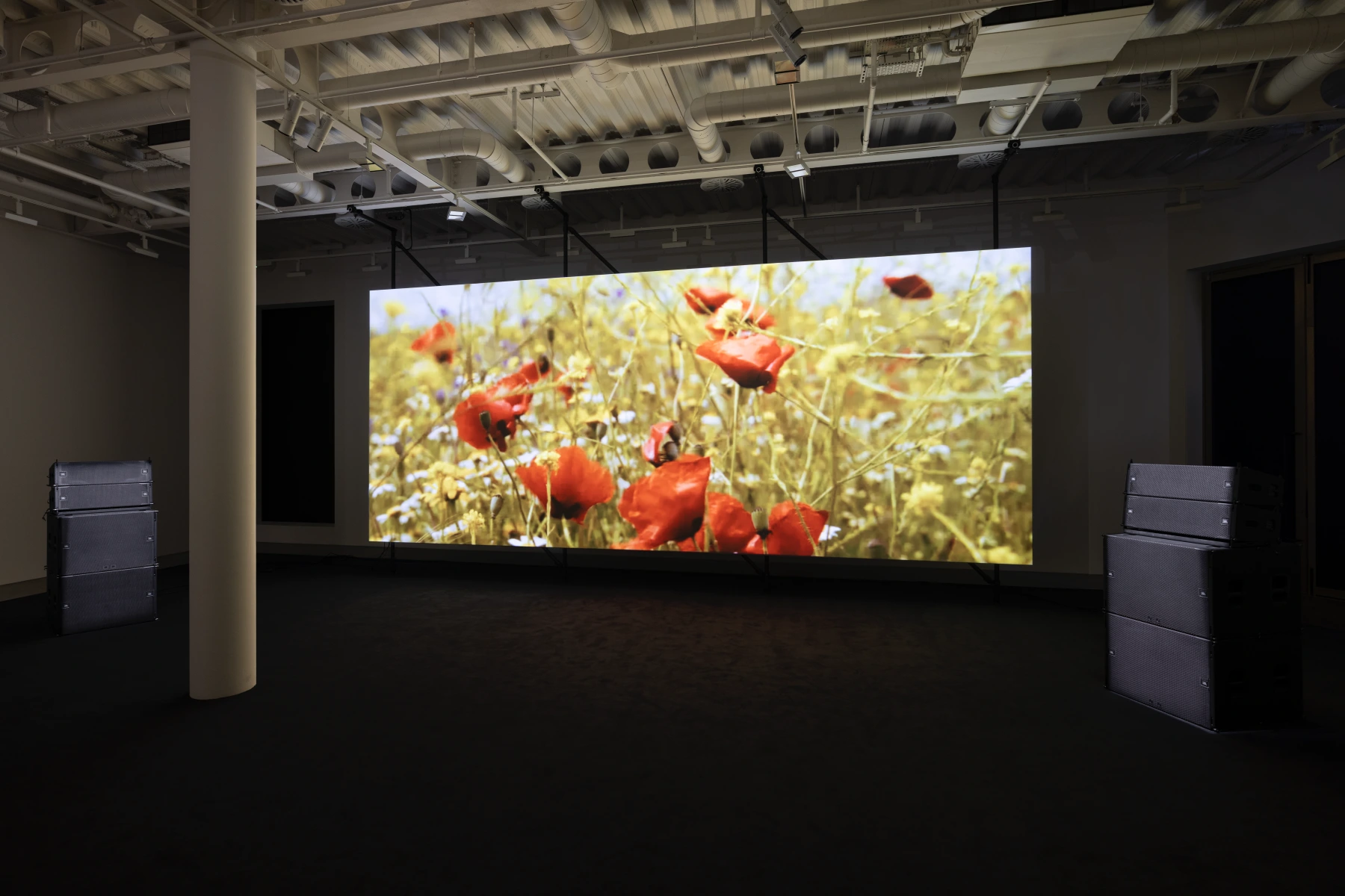 Image for Philippe Parreno: El Almendral, at Pilar Corrias, Conduit Street