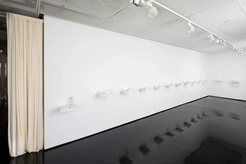 Image for Sophie Hardy: Maribou, at Tolarno Galleries
