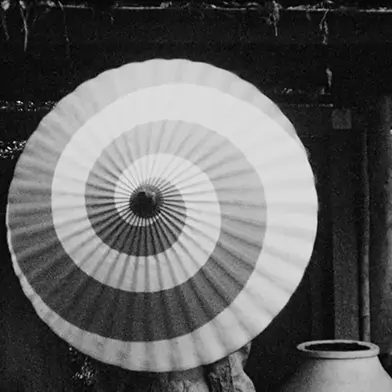 Image from Ulla von Brandenburg: Kekkai, at Art: Concept