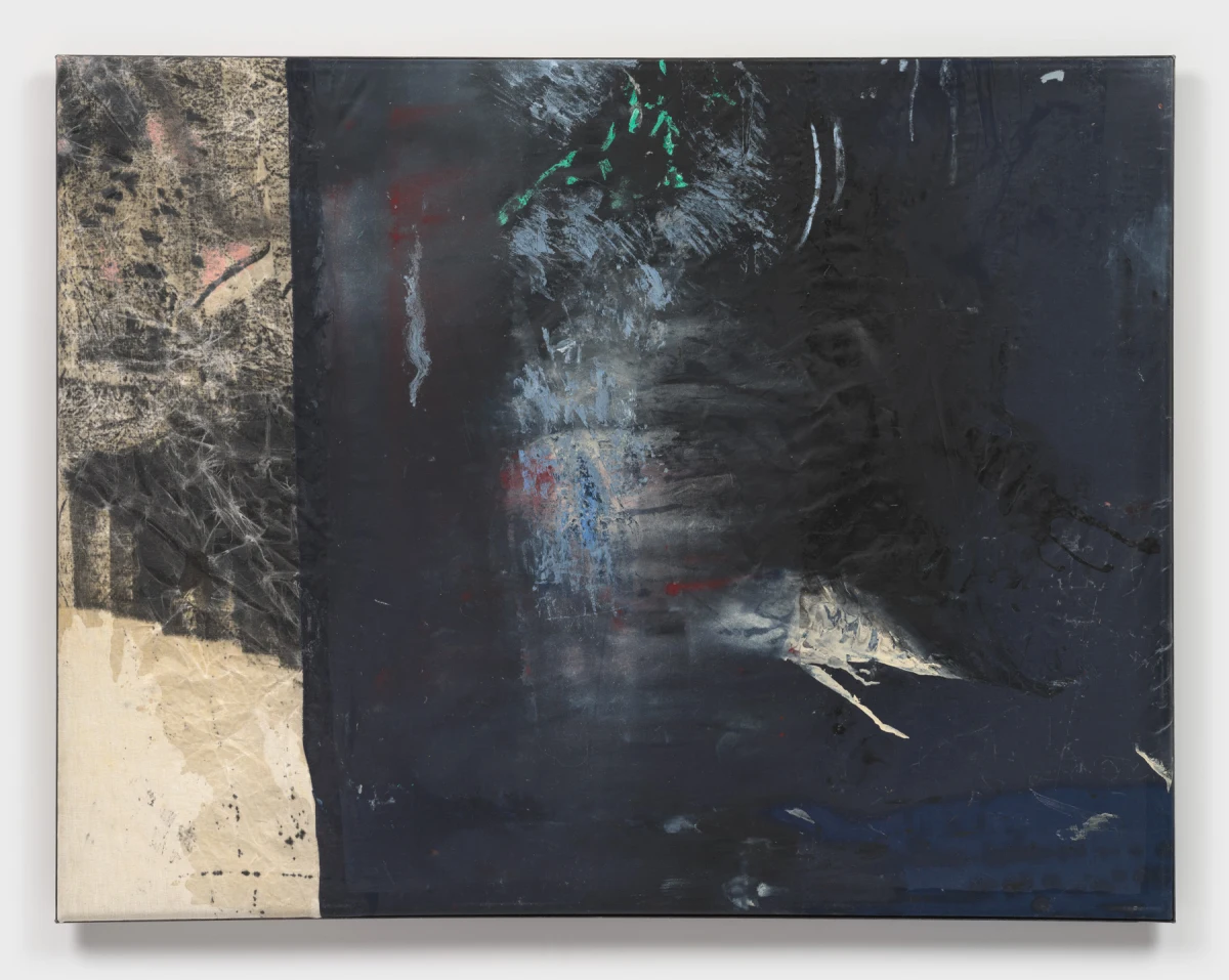 Rosy Keyser, Dark Dusk Echo, 2025