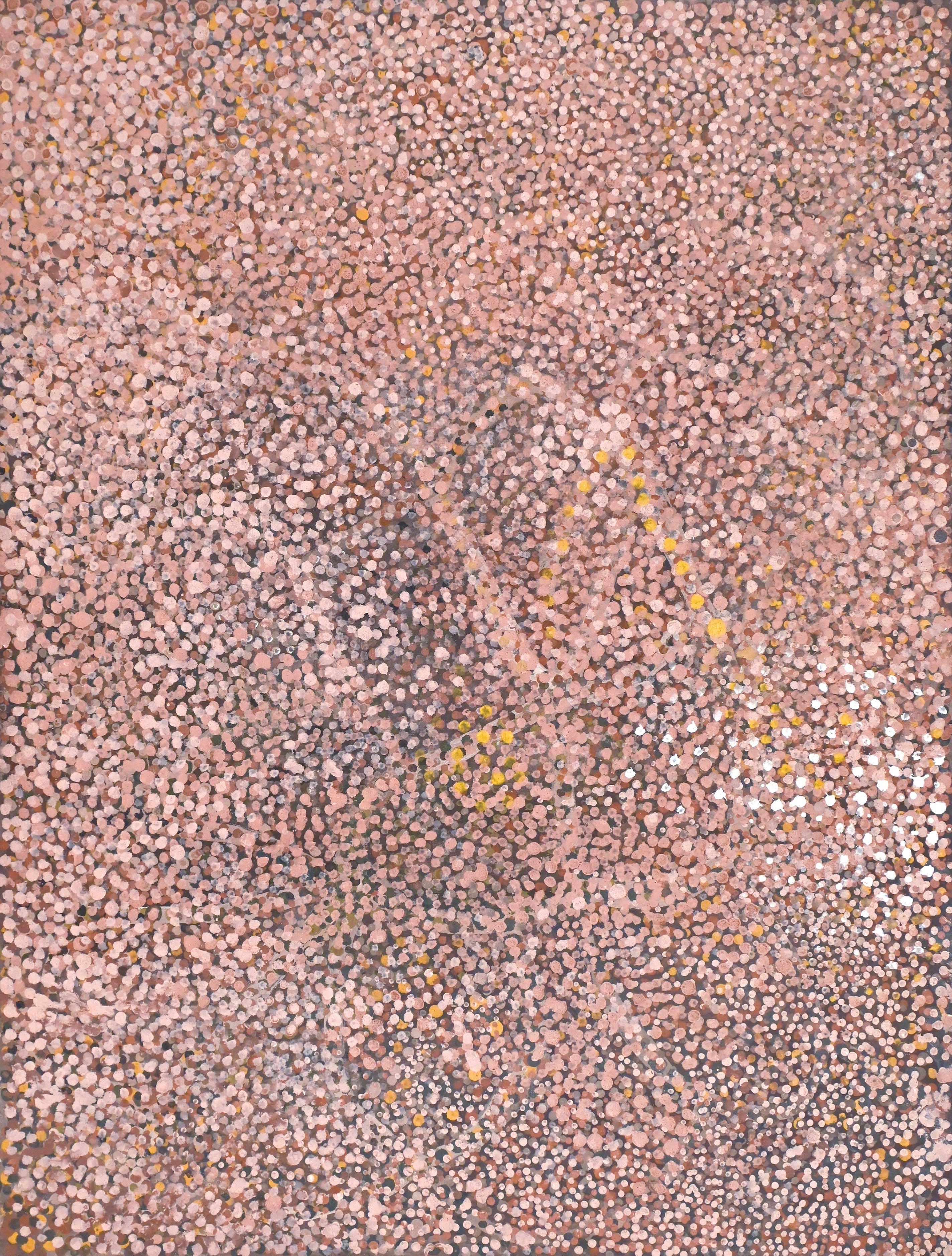 Emily Kam Kngwarray, ANKARA MERNE - INTEKWE, 1990