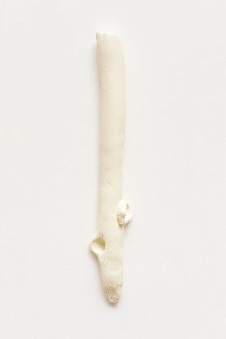 Paulo Monteiro, Untitled, 2020