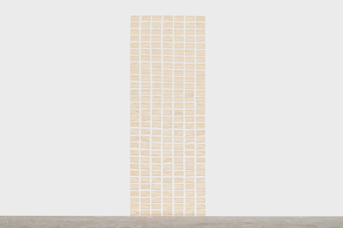 Jac Leirner, Skin selfie (Smoking brown), 2019