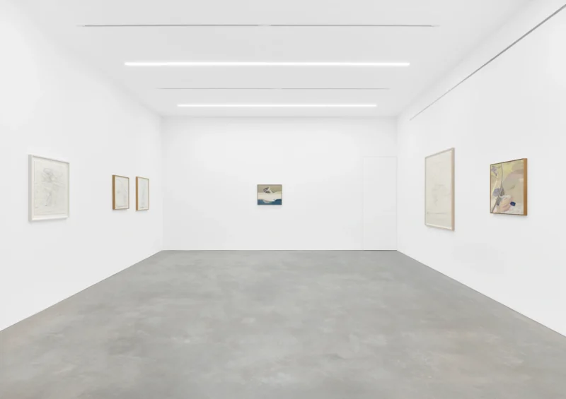 Image for Carol Rhodes: Sites, at Alison Jacques