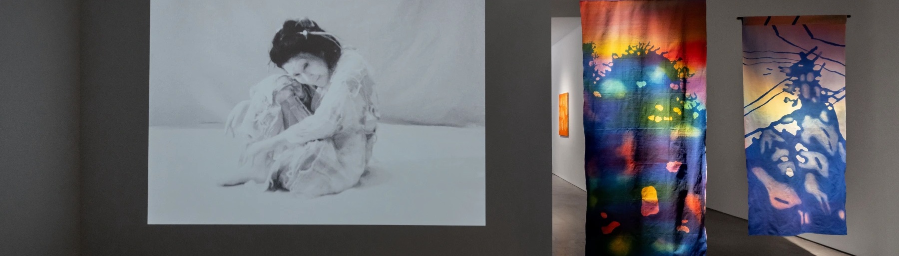 Image for our show of the day, Ulla von Brandenburg: Kekkai, at Art: Concept