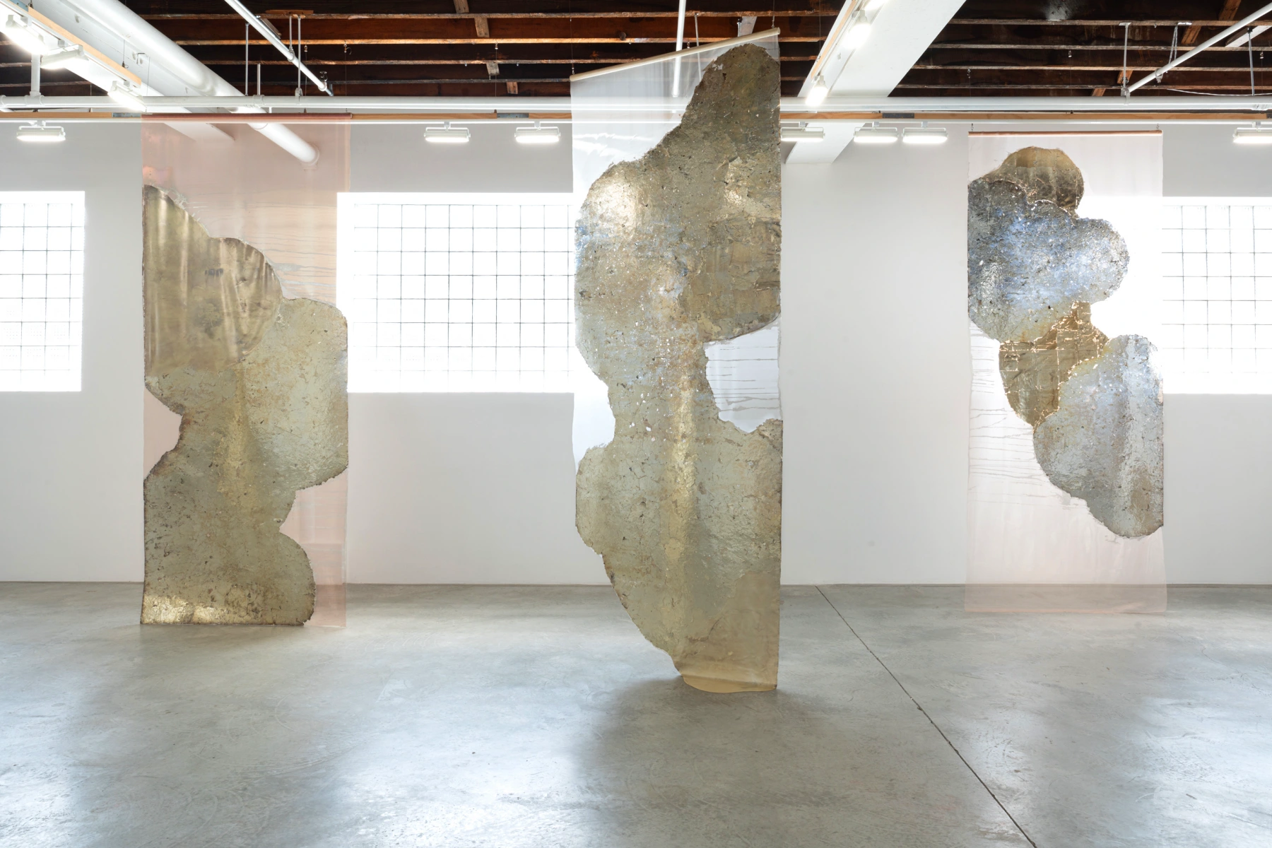 Image for Rosalind Tallmadge: Pareidolia, at CARVALHO PARK