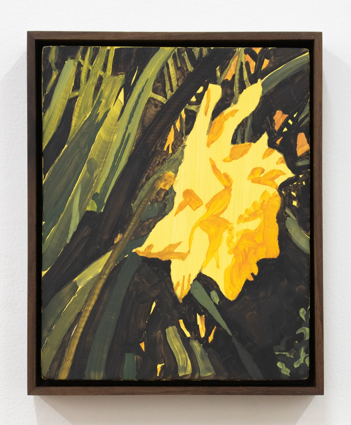 Will Yackulic, Daffodil, 2024