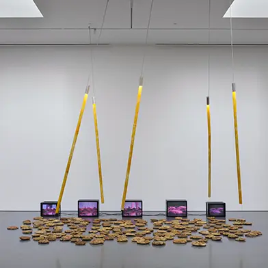 Image from Carolee Schneemann, at Lisson Gallery