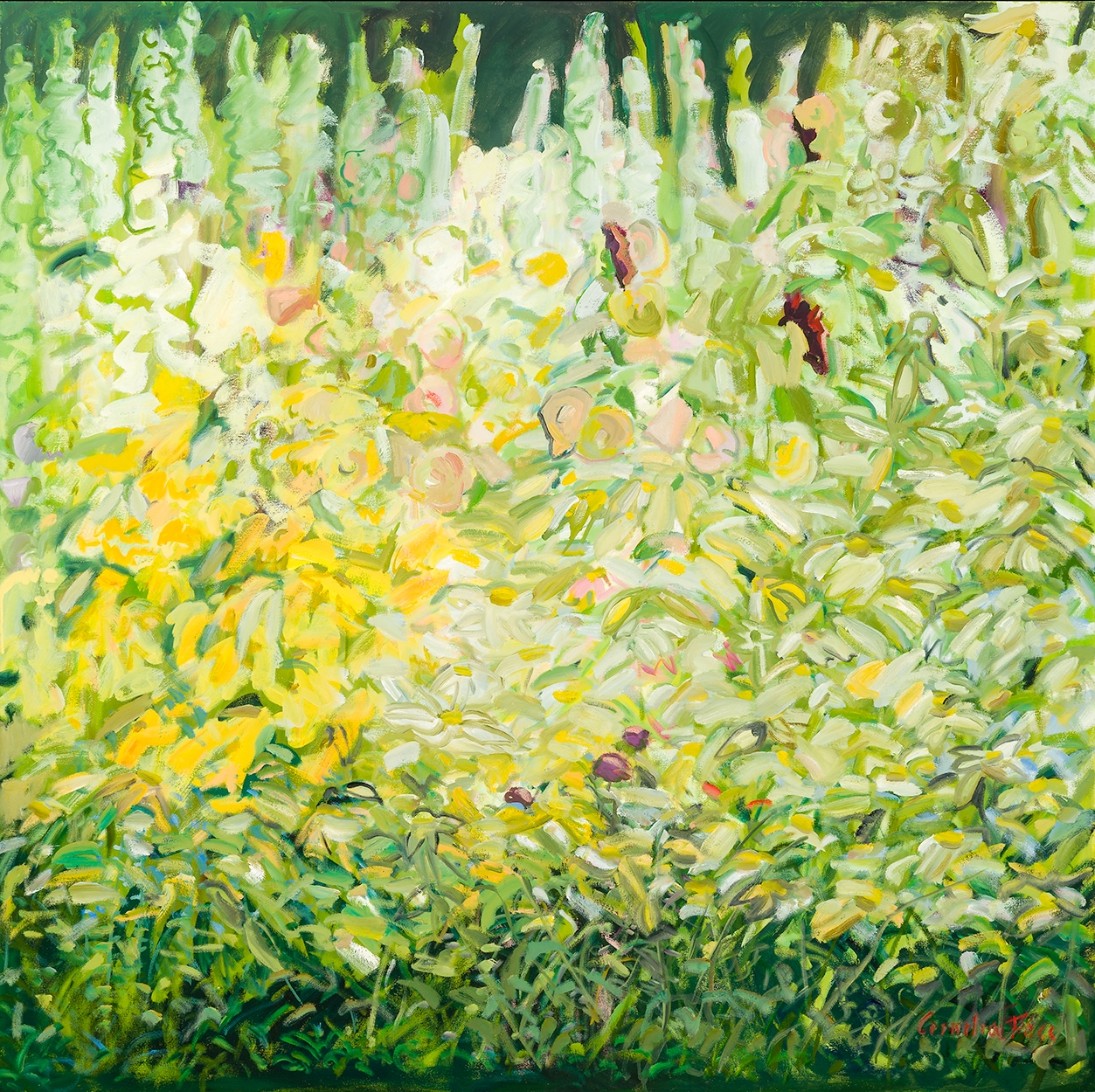 Cornelia Foss, Hollyhocks and Foxgloves, 2019