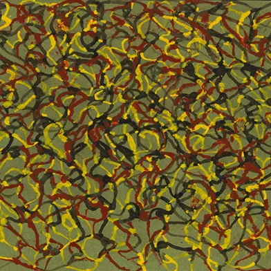 Image from Brice Marden: Works on Paper, at Gagosian, rue de Ponthieu