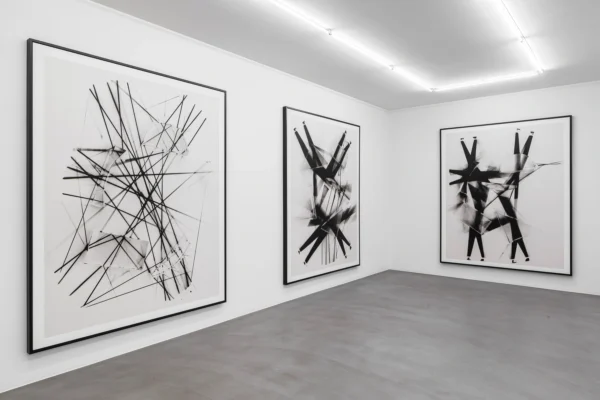 Thomas Ruff: expériences lumineuses @Mai 36 Galerie, Zürich  - GalleriesNow.net 