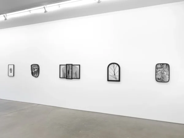 Maria Antelman: Conjurer @Yancey Richardson Gallery, New York  - GalleriesNow.net 