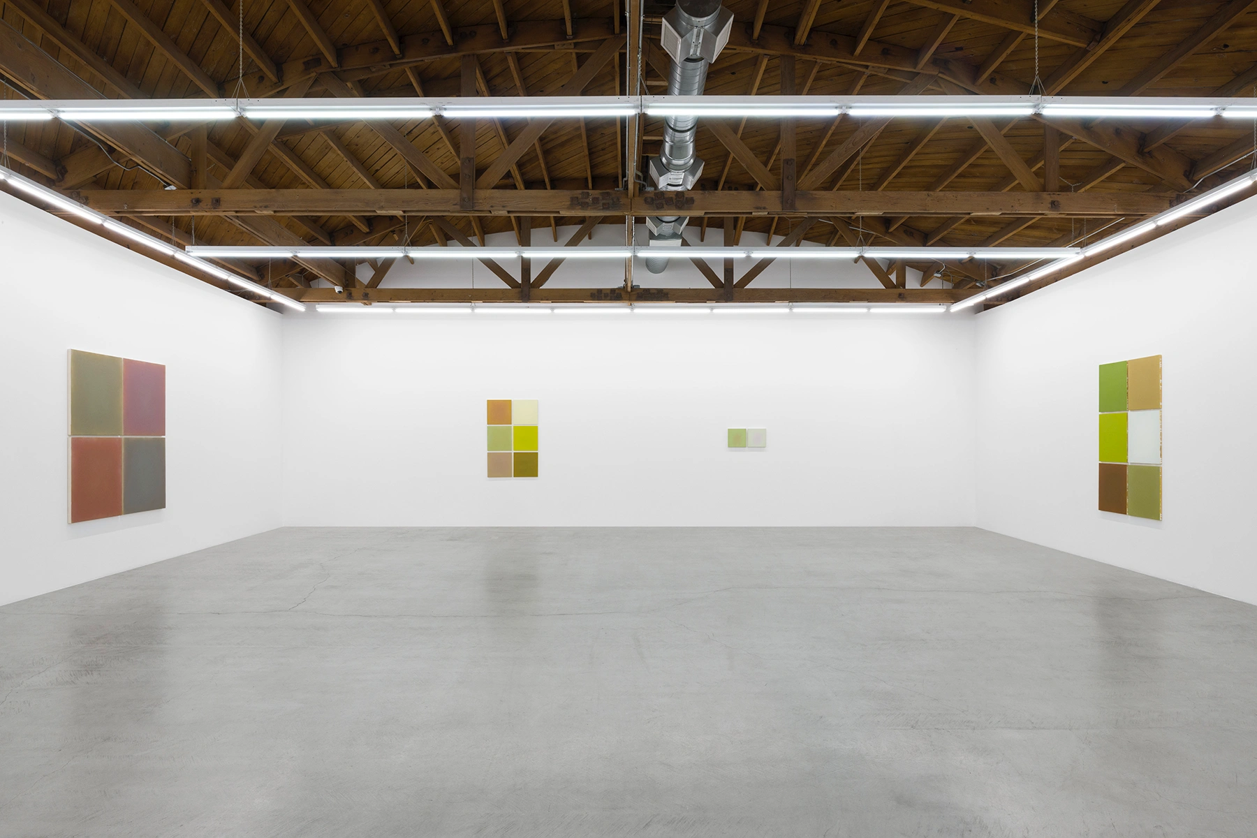 Image for Anne Appleby: Array, at parrasch heijnen