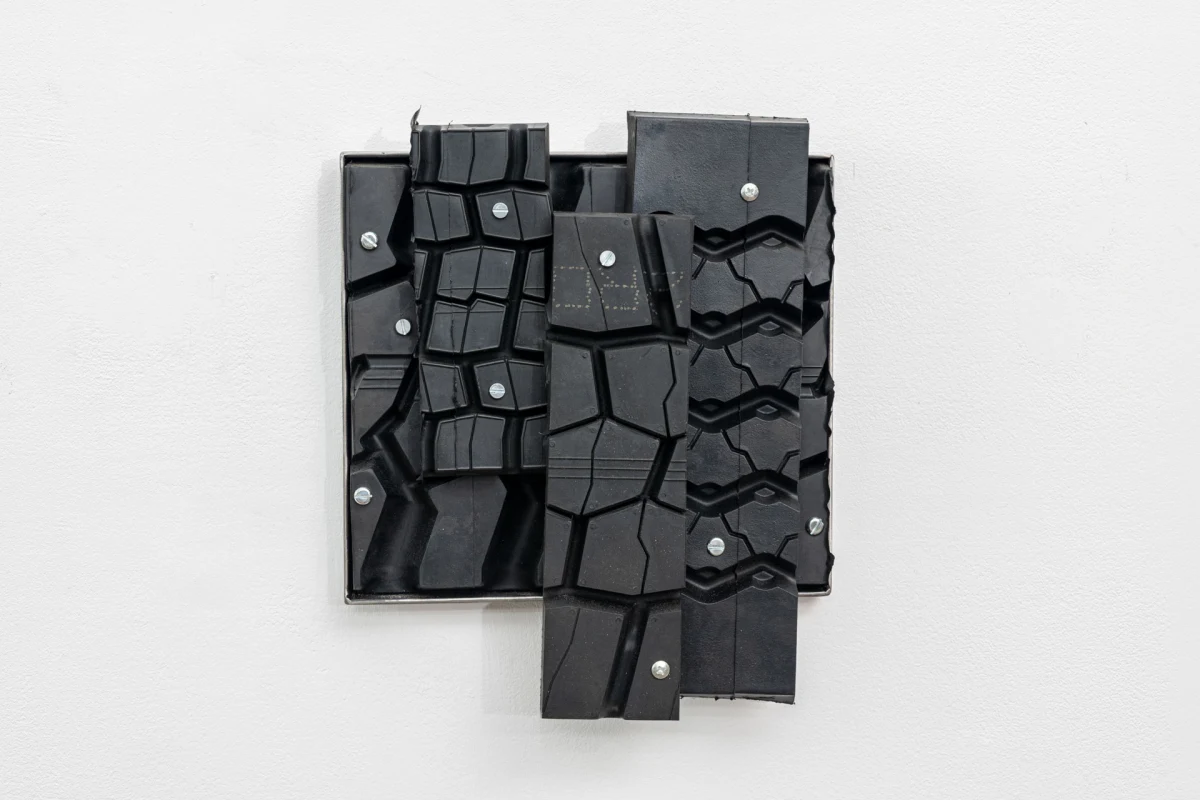 Madeleine Ruggi, Distress Purchase 02, 2025