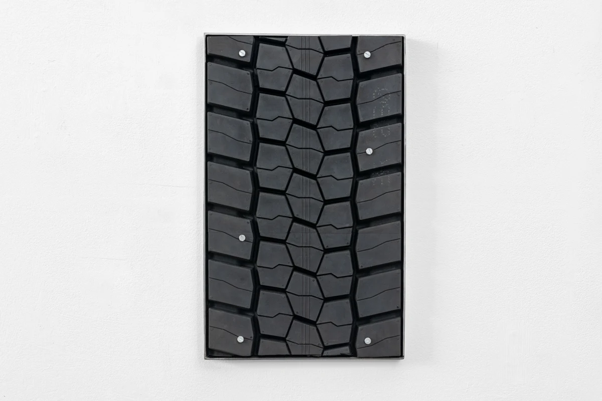 Madeleine Ruggi, Distress Purchase 01, 2025