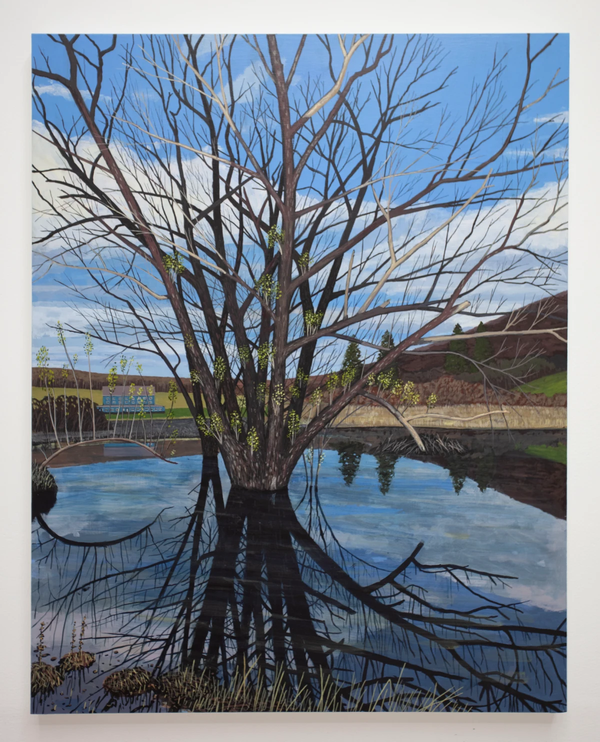 Henry Glavin, Water Willow, 2024