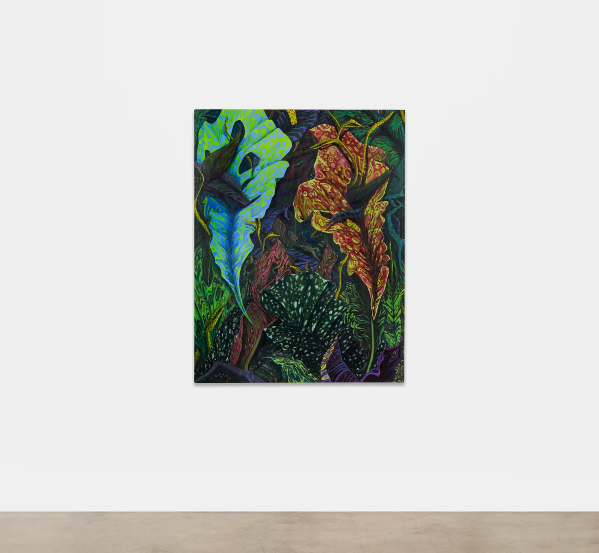 Phaan Howng, Species, 2023