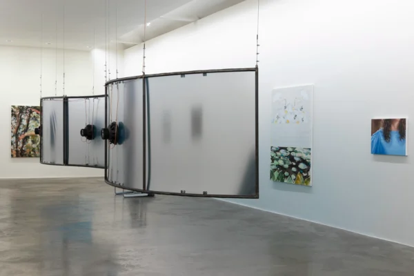 Pictures of You @Kerlin Gallery, Dublin  - GalleriesNow.net 