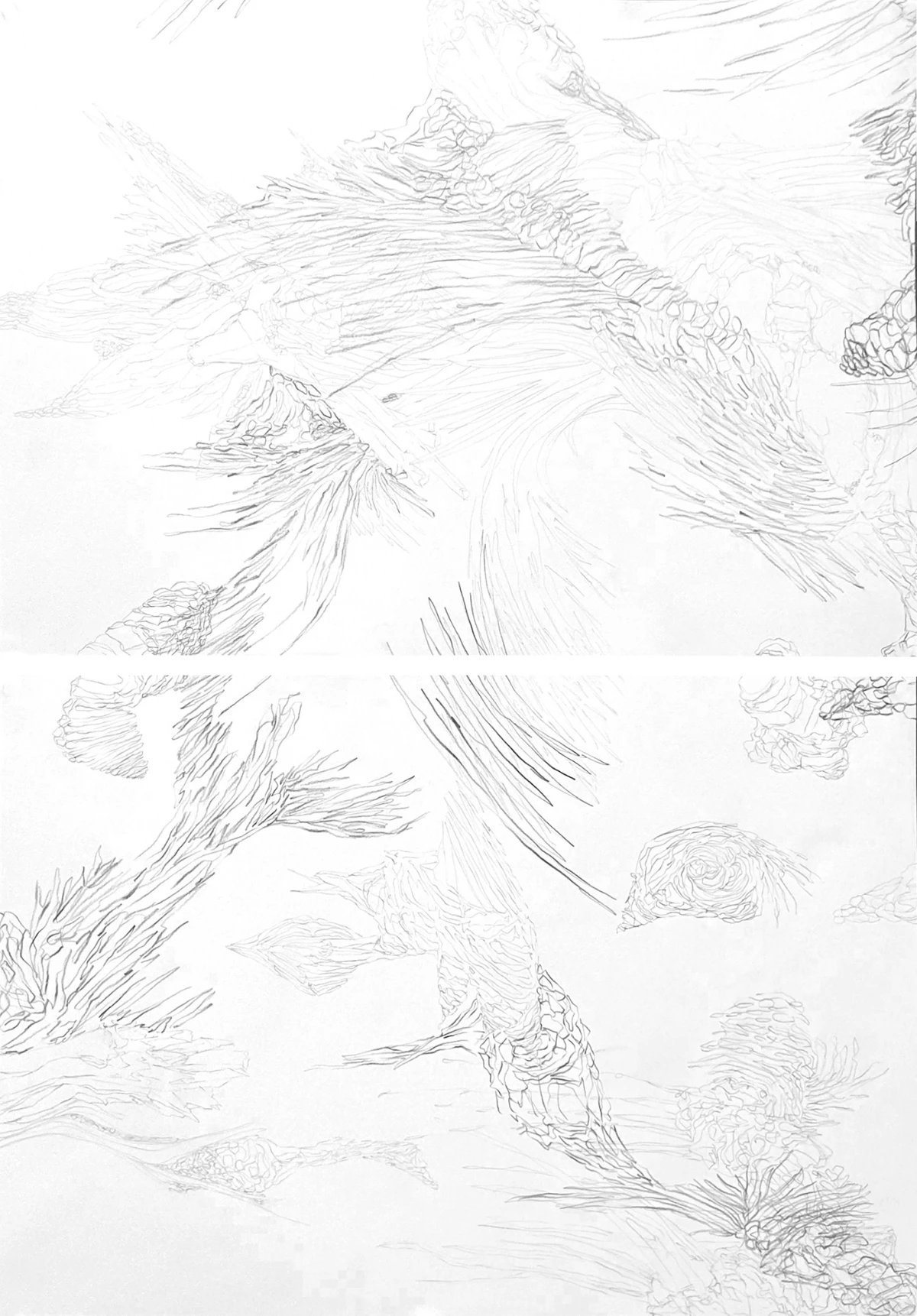 Maria José Arjona, Untitled, 2025