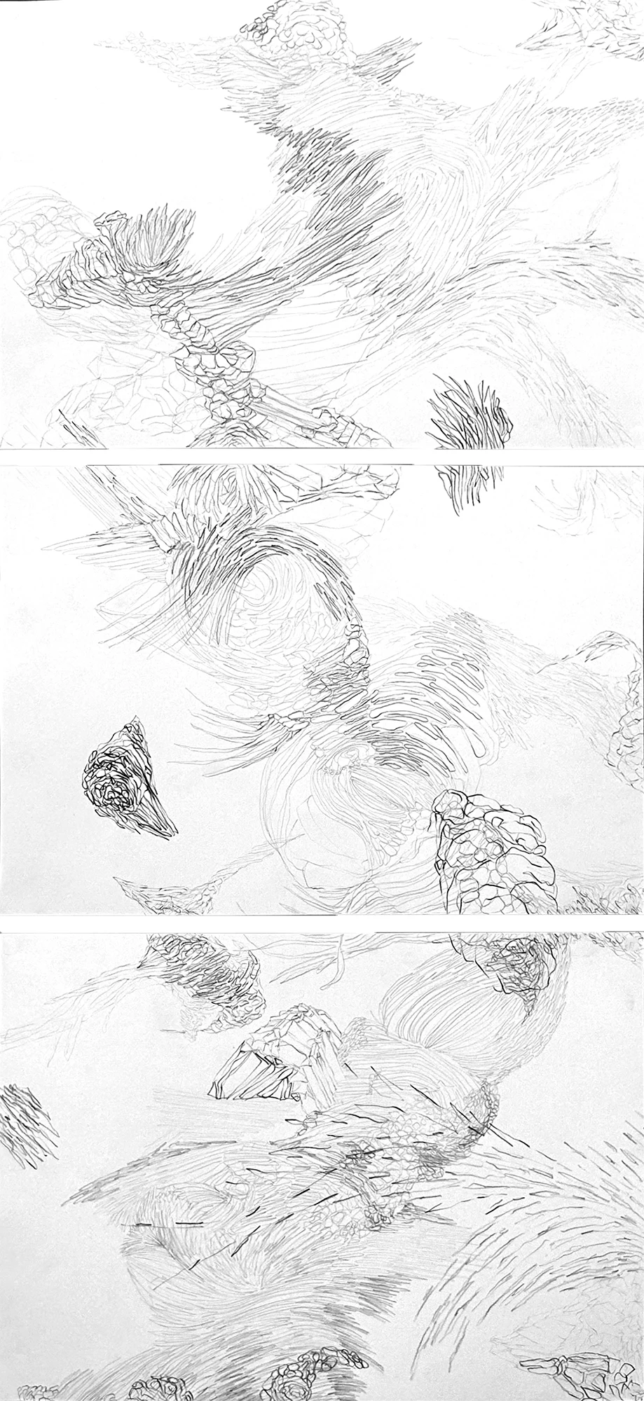 Maria José Arjona, Untitled, 2025