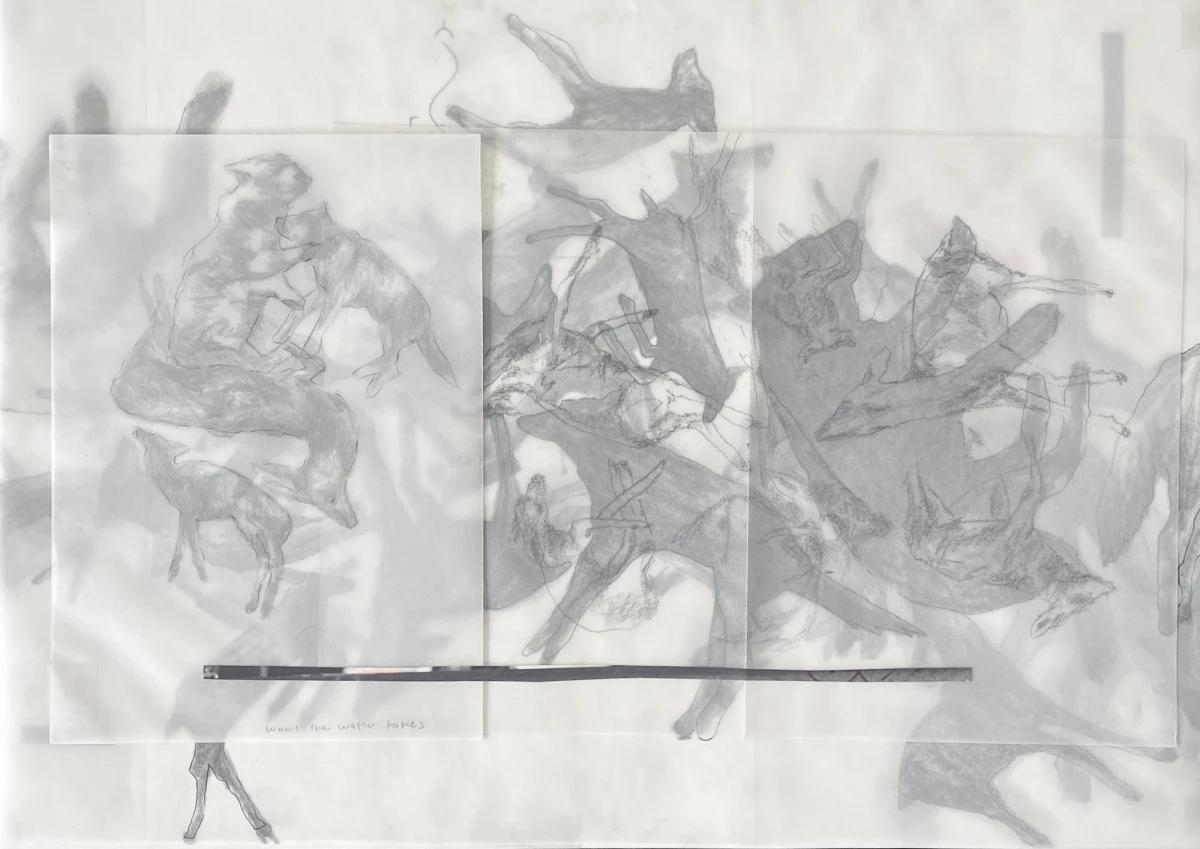 Maria José Arjona, Untitled, 2025