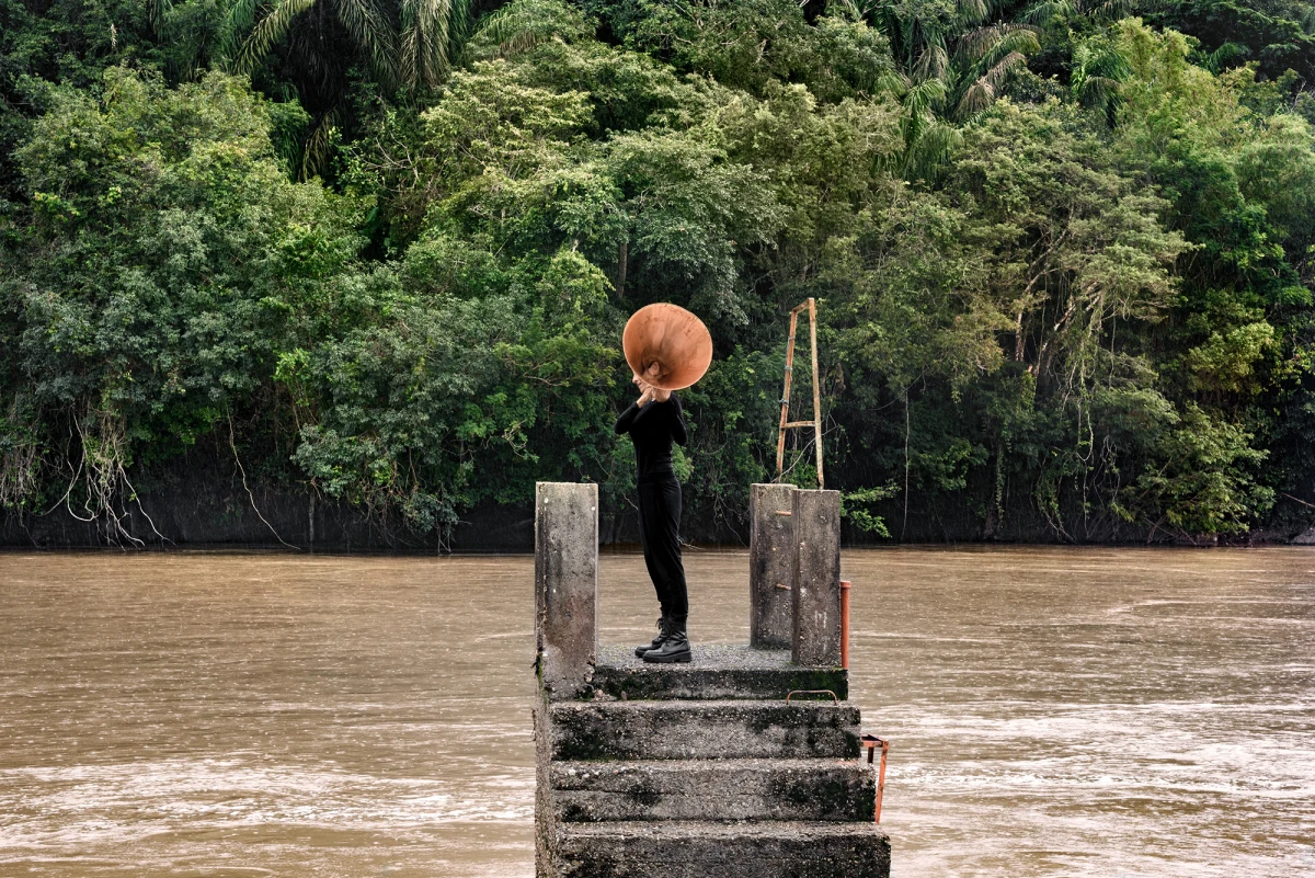 Maria José Arjona, All Possible Forests #1, 2022