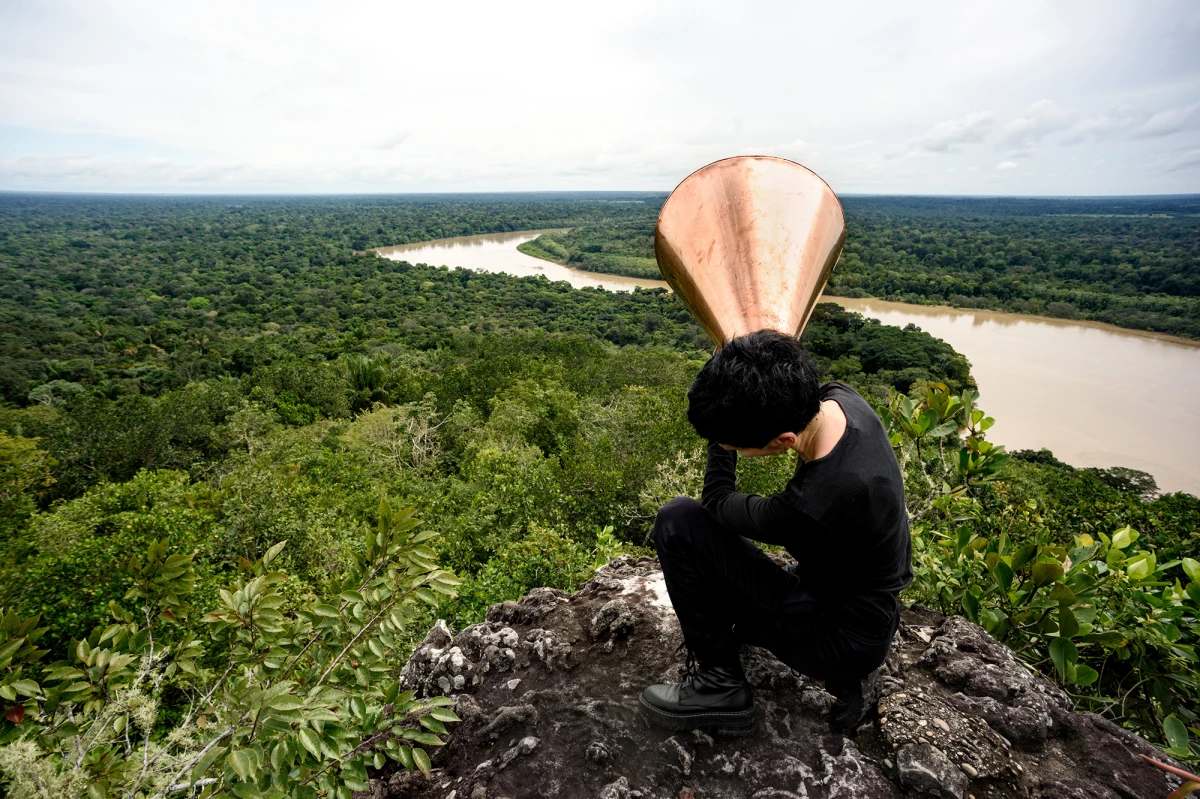 Maria José Arjona, All Possible Forests #4, 2022