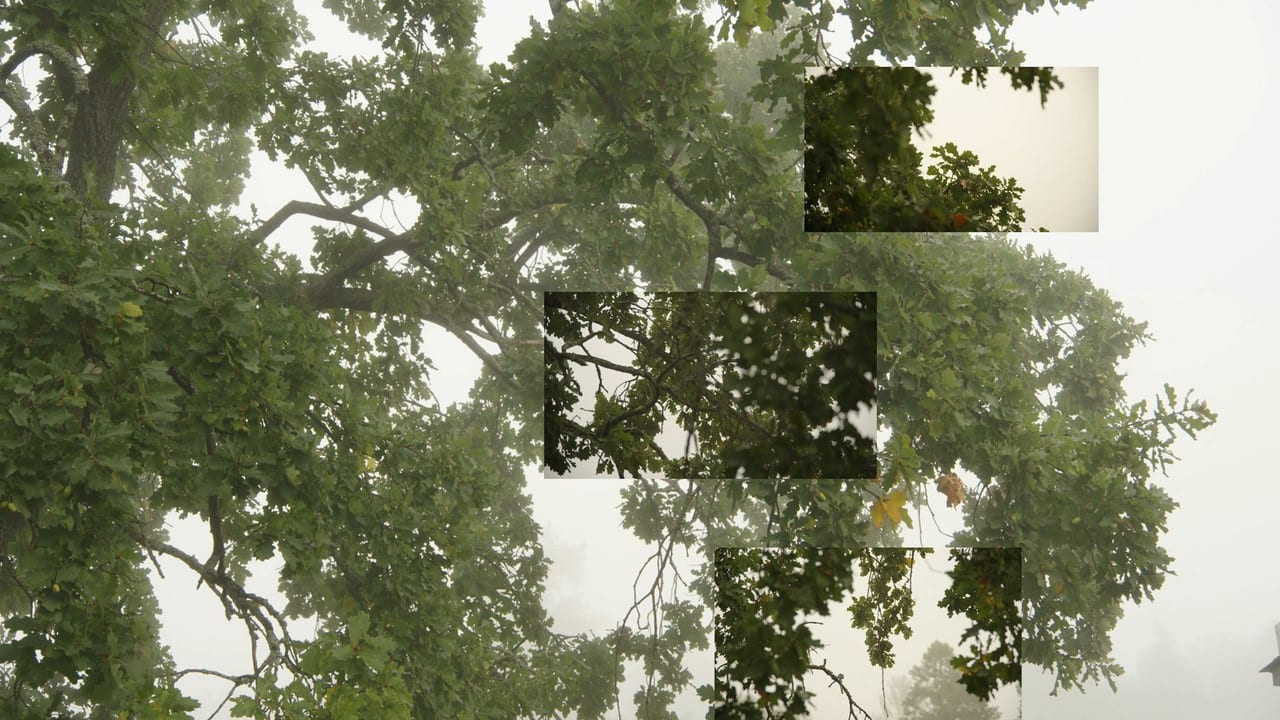 Image for Eija-Liisa Ahtila: On Breathing, at Galerie Marian Goodman