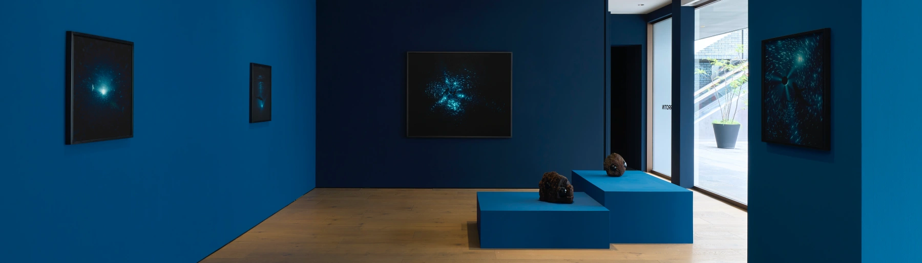 Image for Julian Charrière: Midnight Zone at Perrotin Tokyo