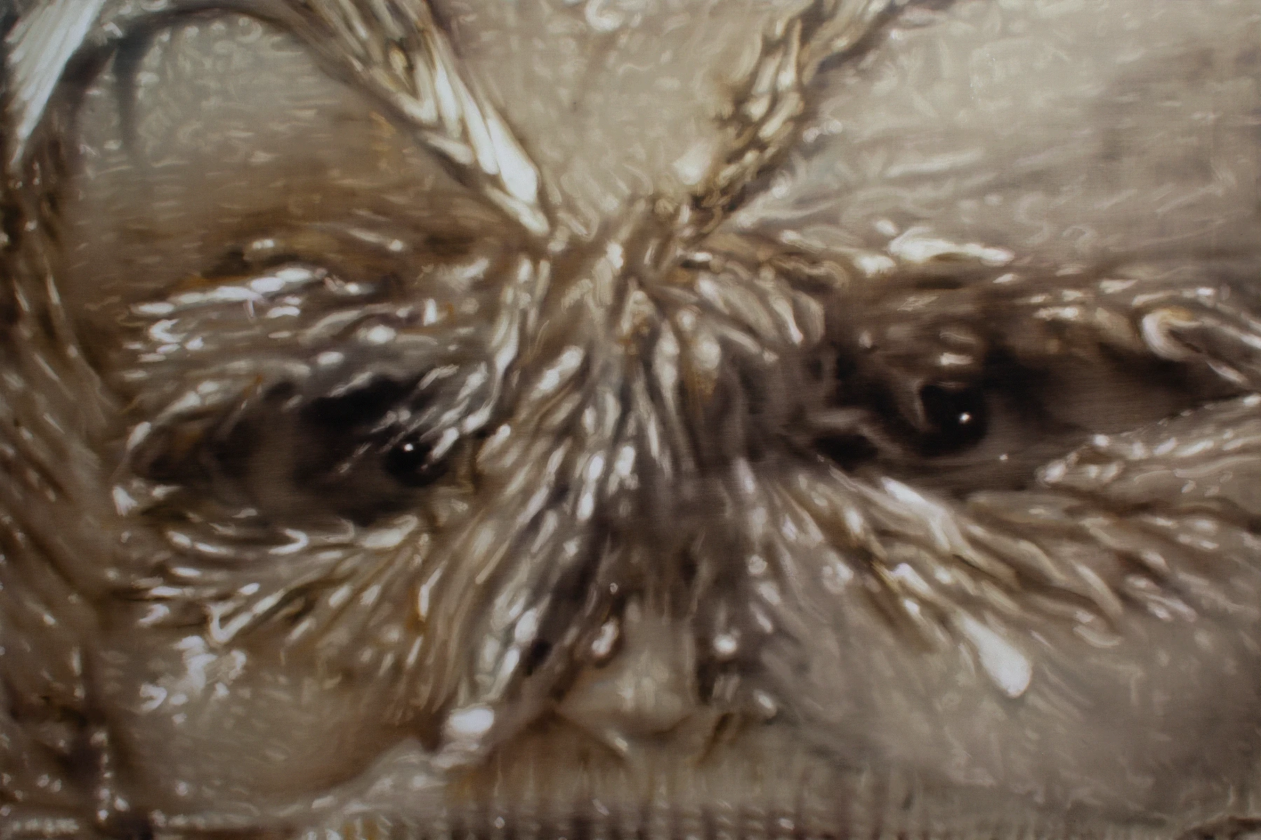 Image for Tomas Harker: Sherwood Forest, at The Sunday Painter