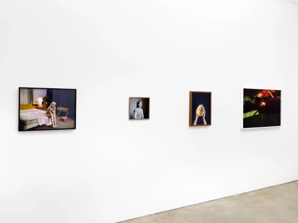 Celebrating 30 Years @Yancey Richardson Gallery, New York  - GalleriesNow.net 