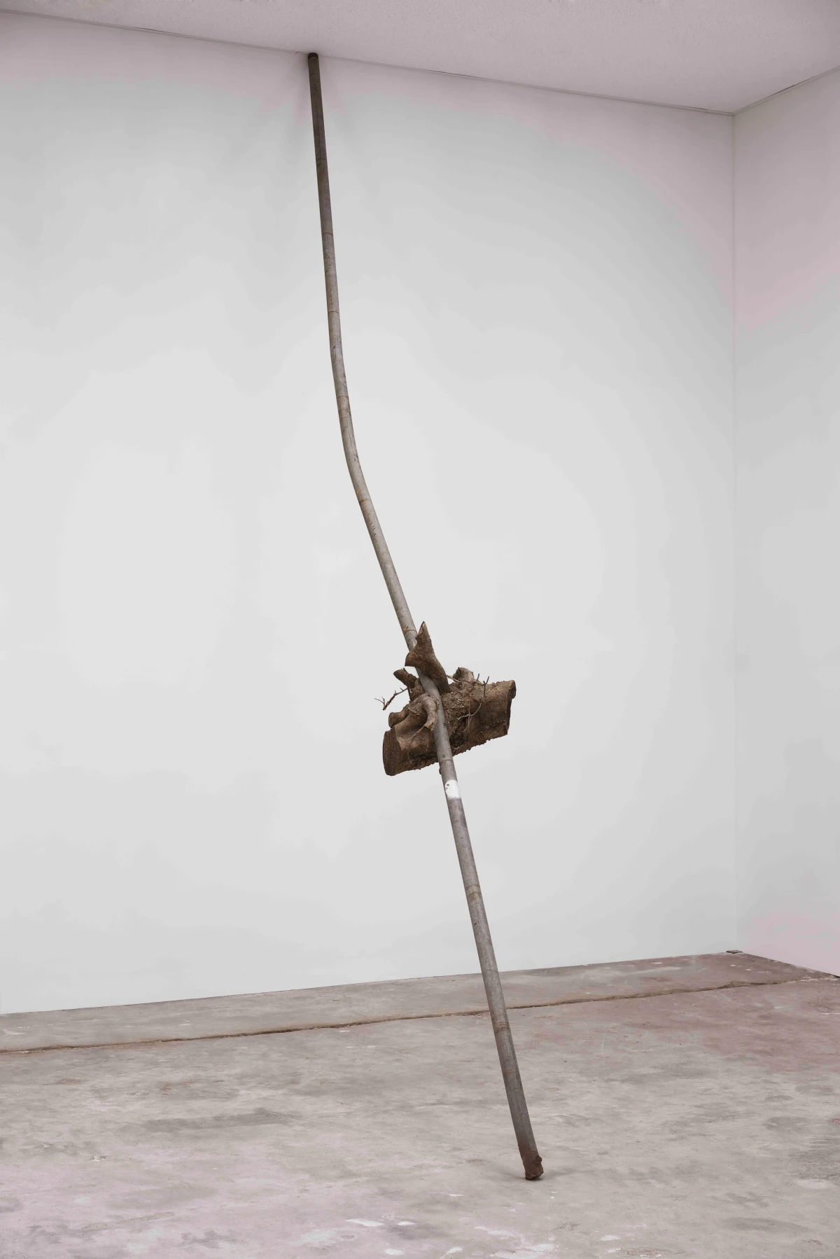 Harold Mendez, but I sound better since you cut my throat, 2016