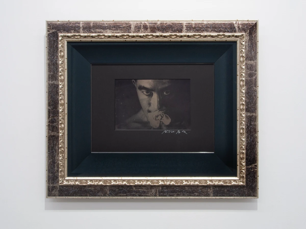 Hosoe Eikoh, Ordeal by Roses #32, 1965