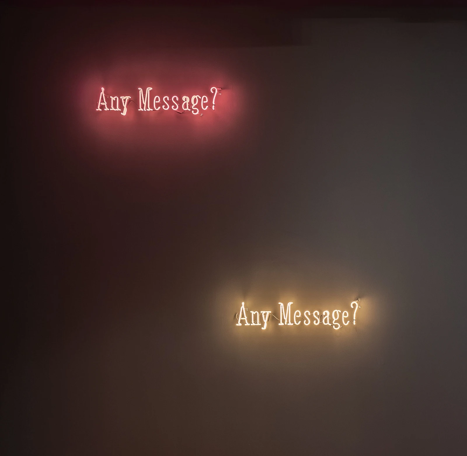Joseph Kosuth: The Question