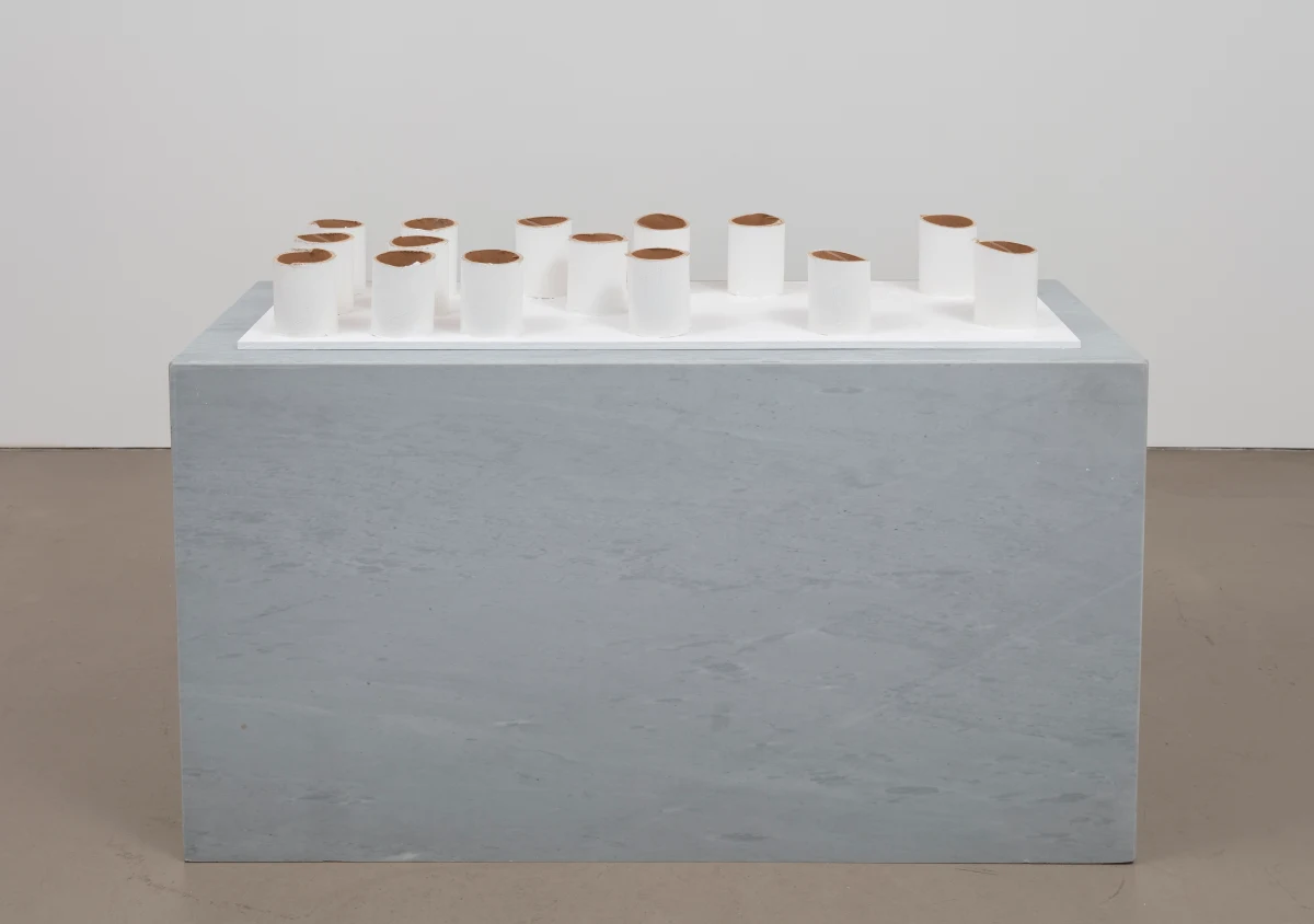 Carlos Bunga, Crisscrossing vertical planes, 2010