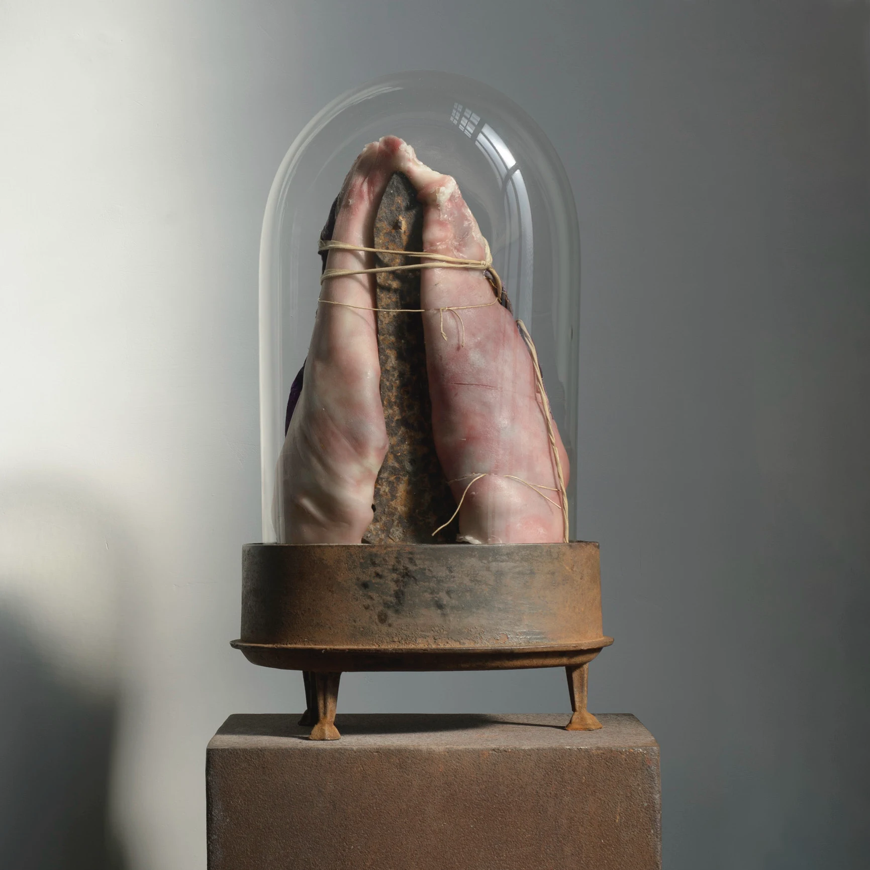 Image for Berlinde de Bruyckere: NEED, at Galleria Continua / Paris Marais