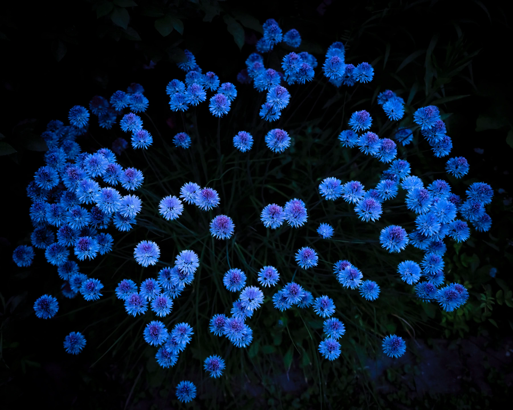 Image for Cig Harvey: I Want You To Remember This Forever, at Alon Zakaim Fine Art