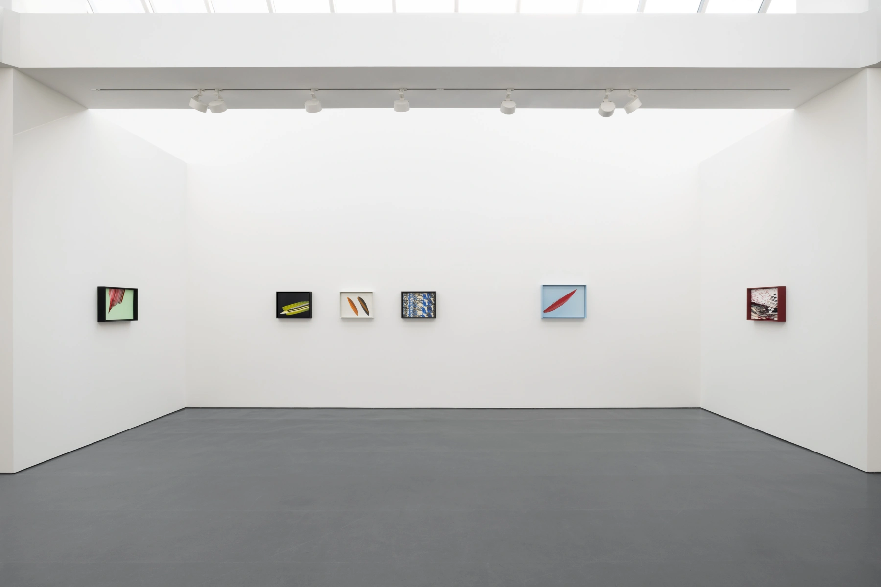 Image for Tauba Auerbach: Clepsydra, at Esther Schipper