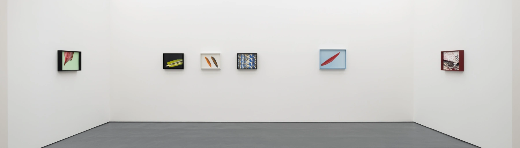Image for Tauba Auerbach: Clepsydra at Esther Schipper