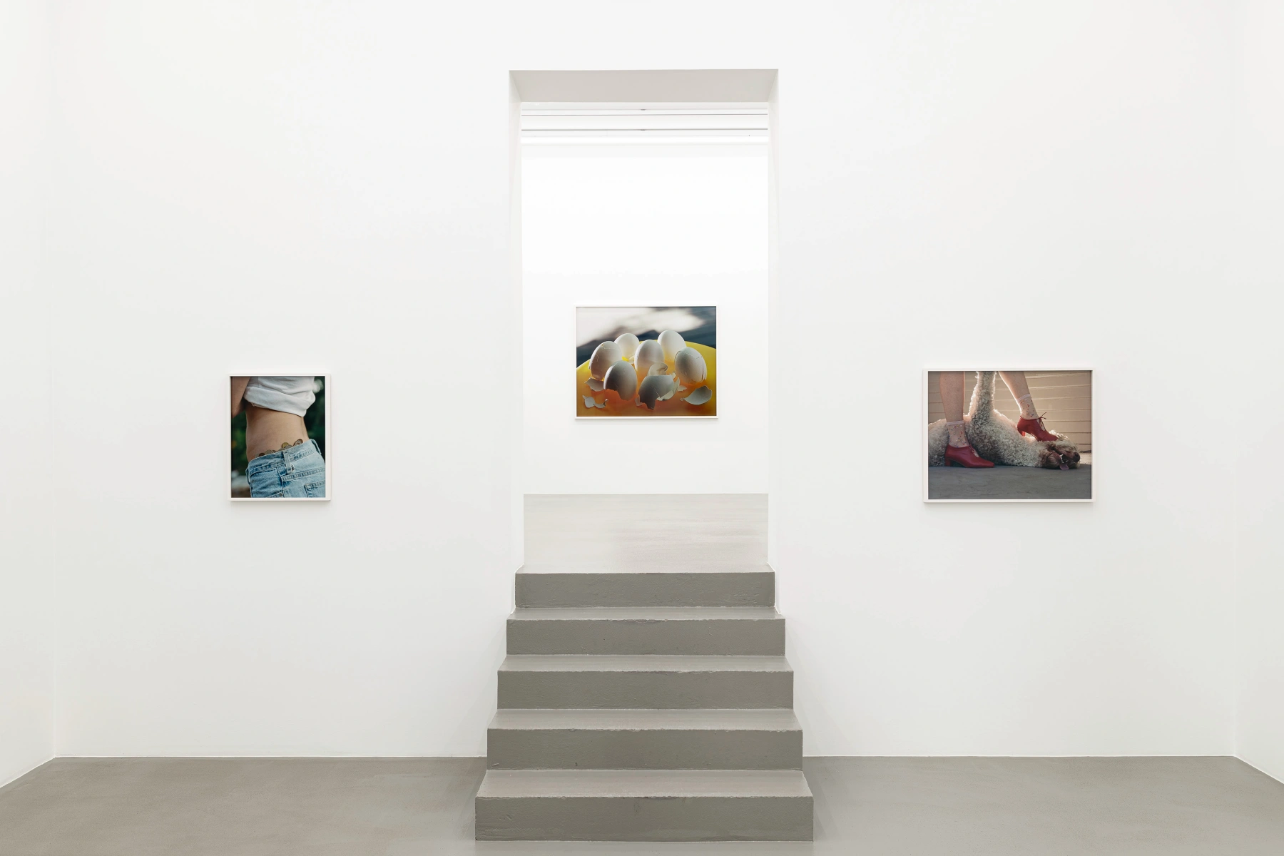Image for Torbjørn Rødland: Slow Life Strategies, at Galerie Eva Presenhuber