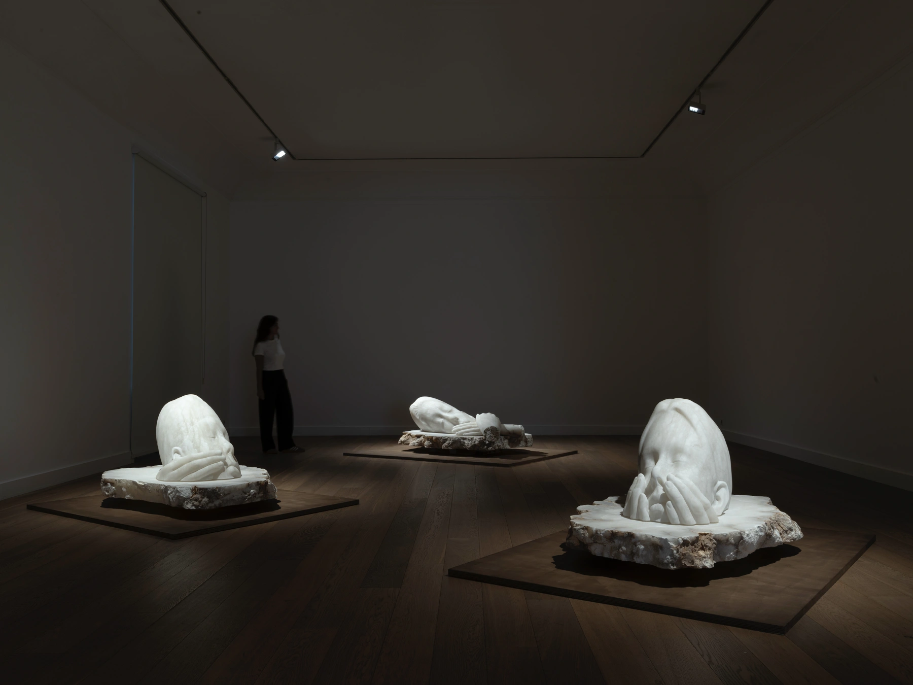 Image for Jaume Plensa: 5 rêves, 5 désirs, at Galerie Lelong