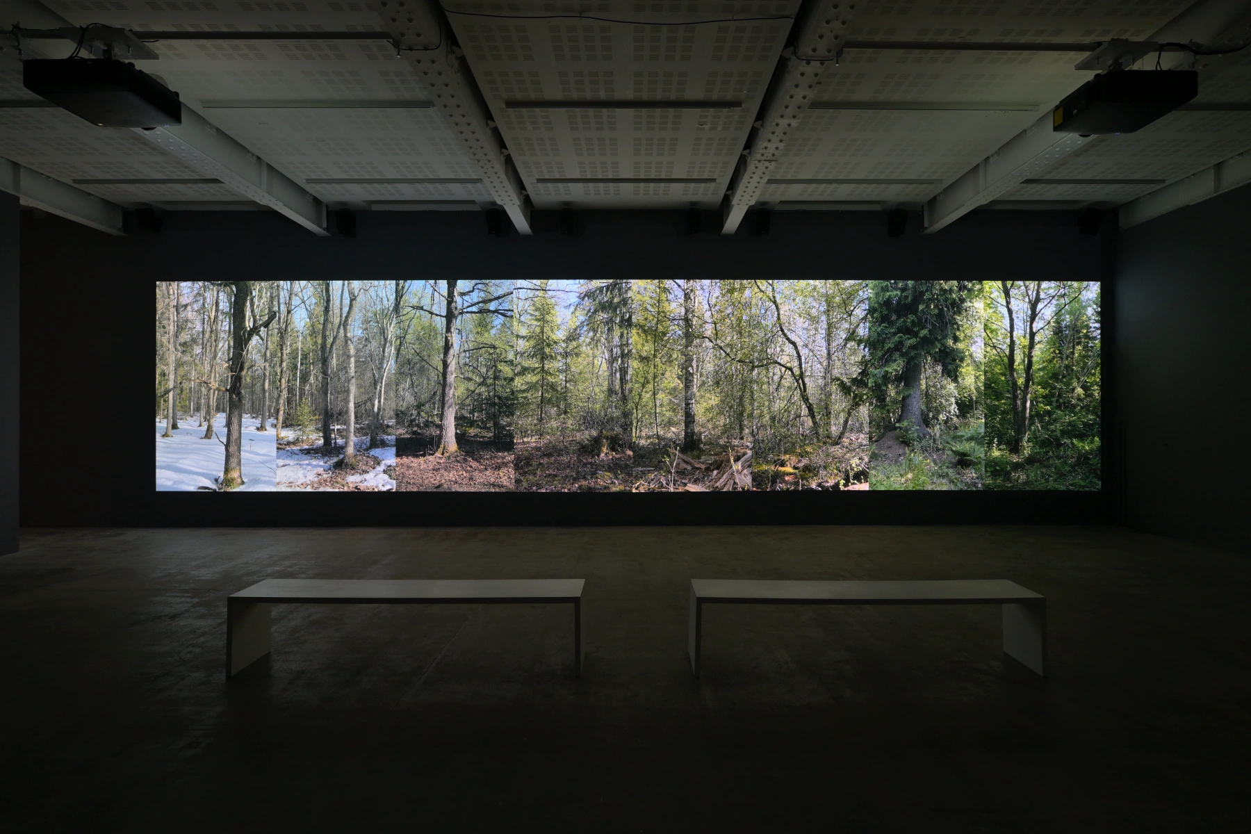 Image for Eija-Liisa Ahtila: On Breathing, at Galerie Marian Goodman