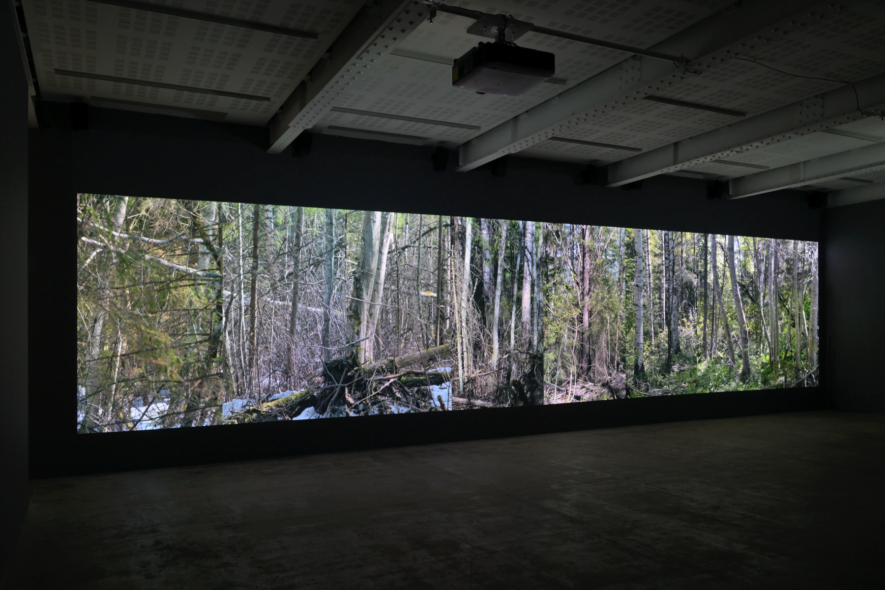 Installation shot from <b>Eija-Liisa Ahtila: On Breathing</b>, @ Marian Goodman Gallery