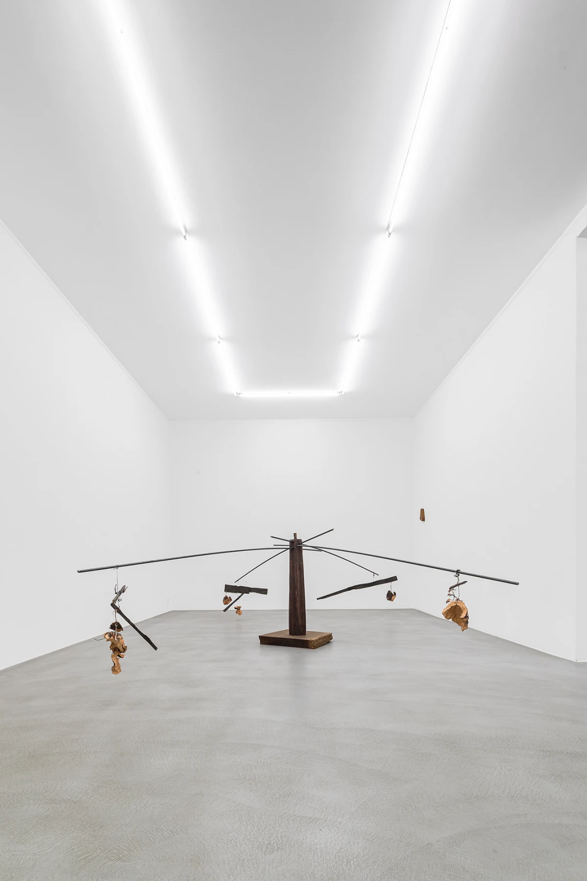 Jacobo Castellano, MONTONERA, 2025