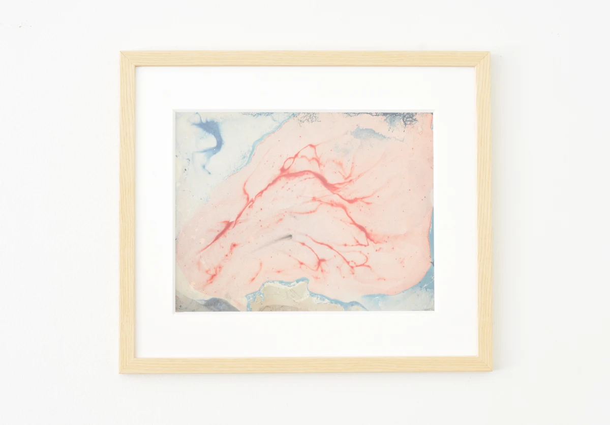 Louise Janin, Cosmogramme, 1953-1965