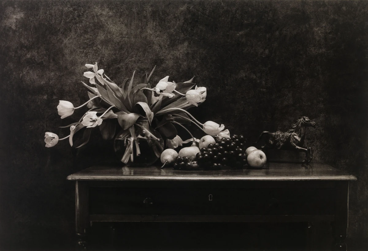 Don McCullin, Still life in my garden shed, 1989 (printed 2019)