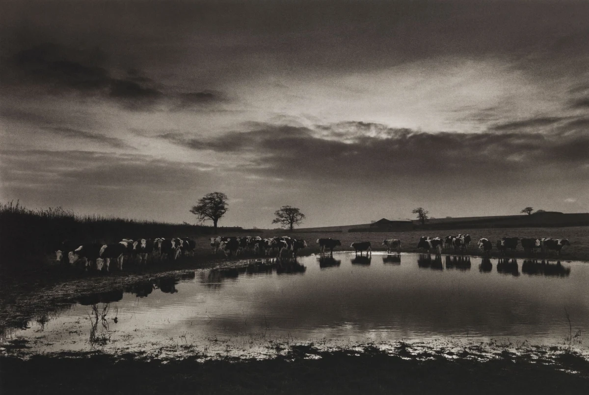 Don McCullin, Upton Noble, flooding meadow, Somerset, 1992 (printed 2016)
