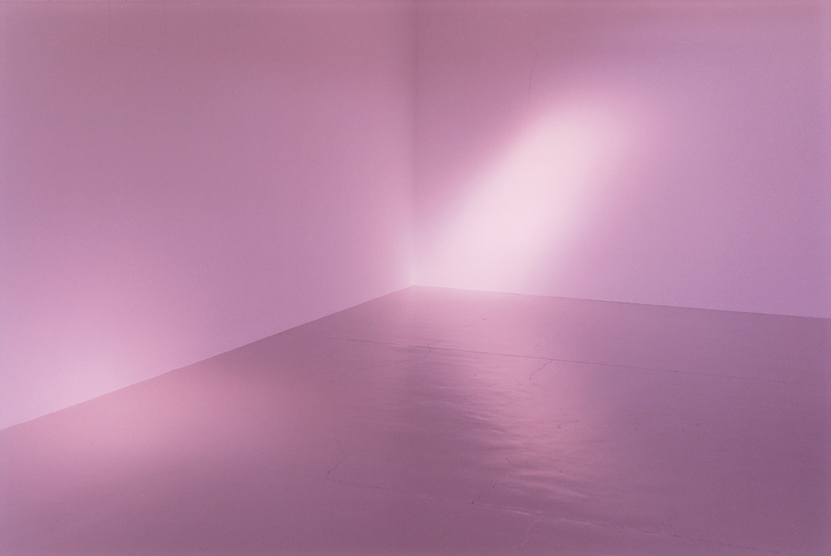 Image for Wolfgang Tillmans: Build From Here, at Maureen Paley, 4 Herald St